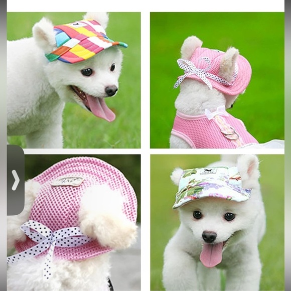 yaodhaod Other - Pet Round Brim Princess Cap Visor Hat (DOG)
Sz-L